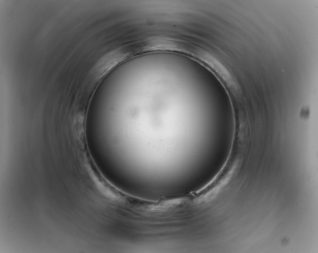 X0000102340849200808011139