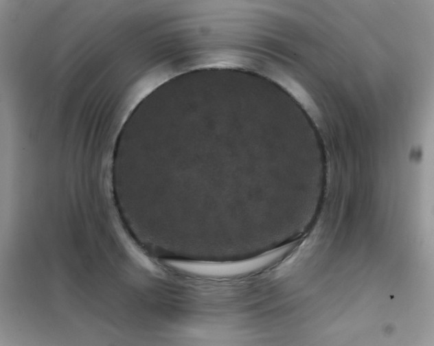 X0000102340850200808011139