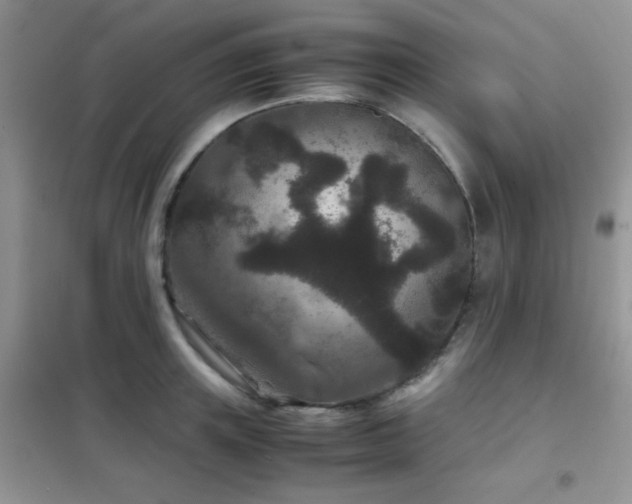 X0000102340851200808011139