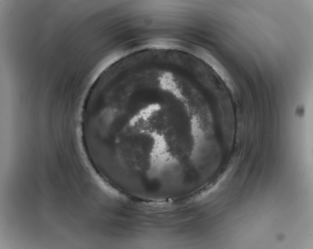 X0000102340853200808011139