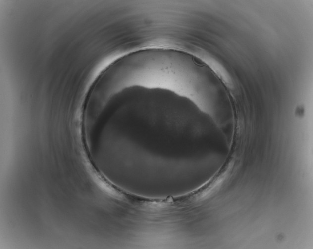 X0000102340854200808011139