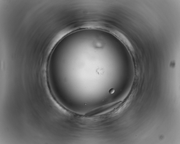 X0000102340855200808011139