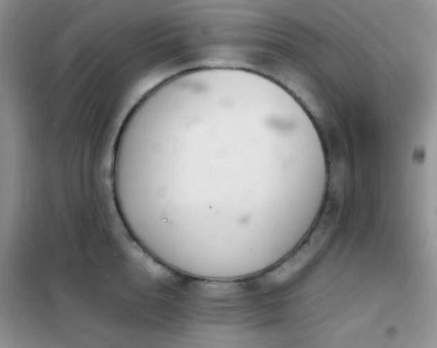 X0000102340856200808011139