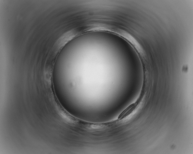 X0000102340857200808011139