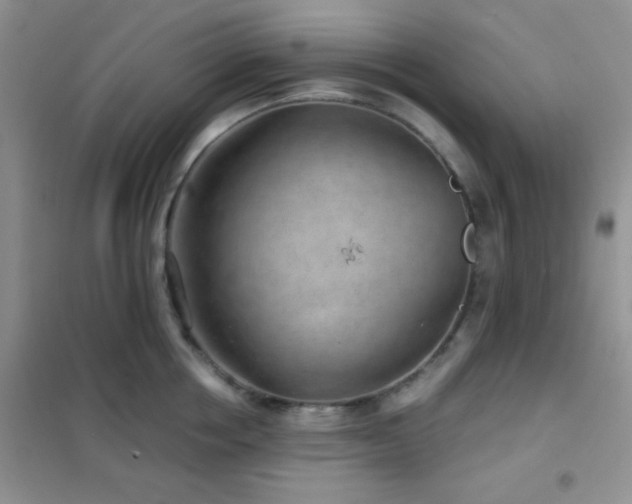 X0000102340858200808011139