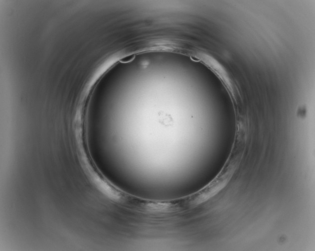 X0000102340859200808011139