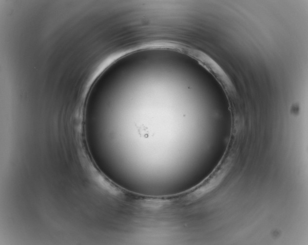 X0000102340860200808011139