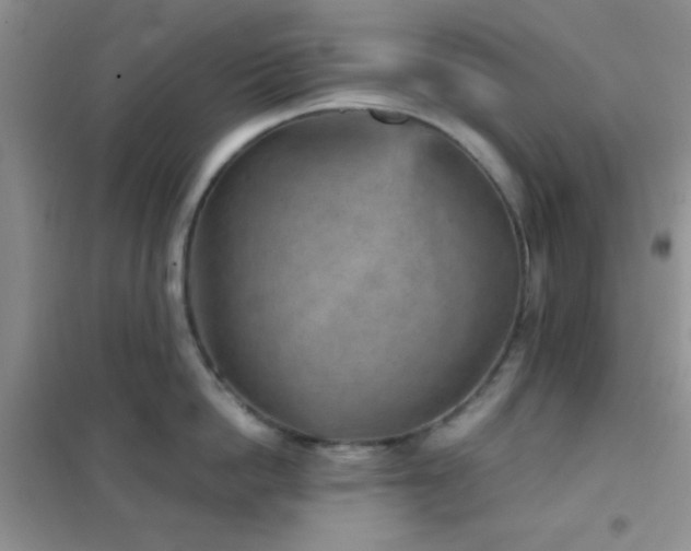 X0000102340862200808011139