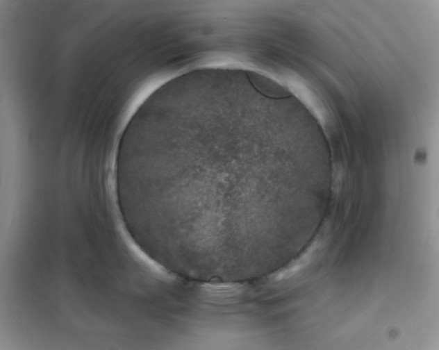 X0000102340863200808011139