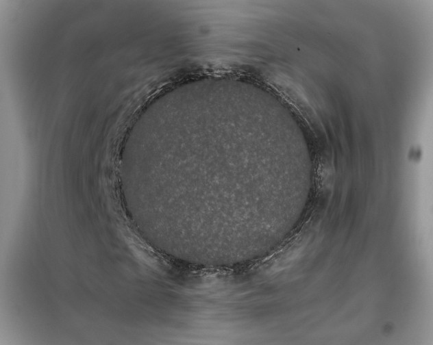 X0000102340865200808011138