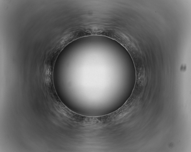 X0000102340866200808011138