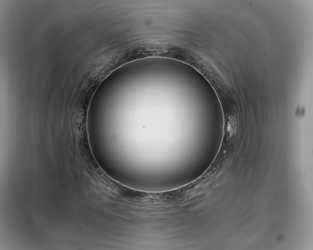 X0000102340867200808011138