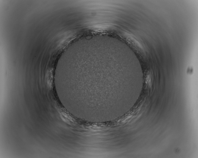 X0000102340868200808011138