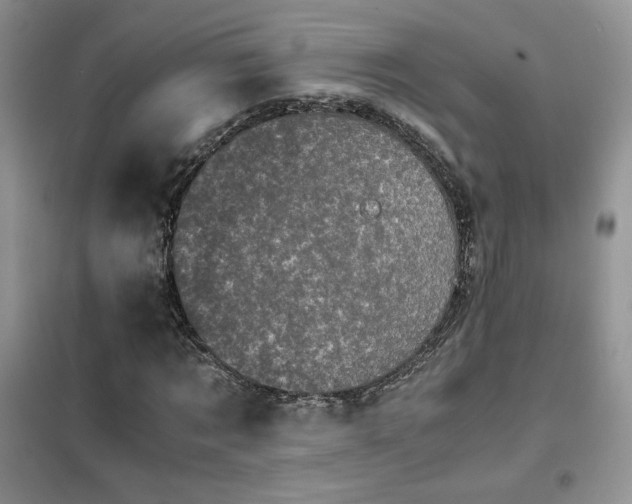 X0000102340869200808011138