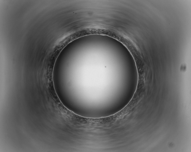 X0000102340870200808011138