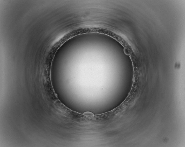 X0000102340871200808011138