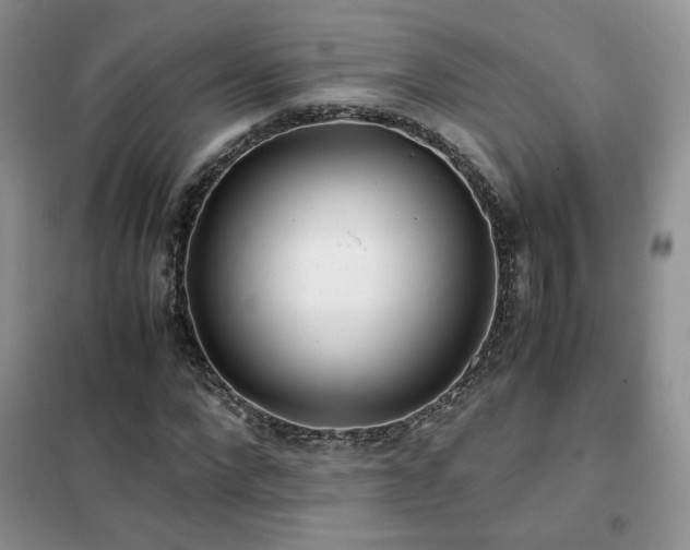 X0000102340872200808011138