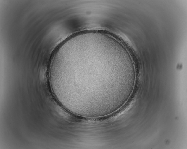 X0000102340873200808011138