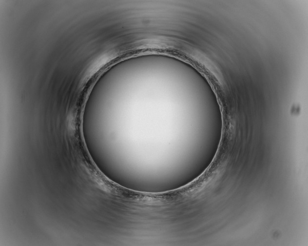 X0000102340874200808011138