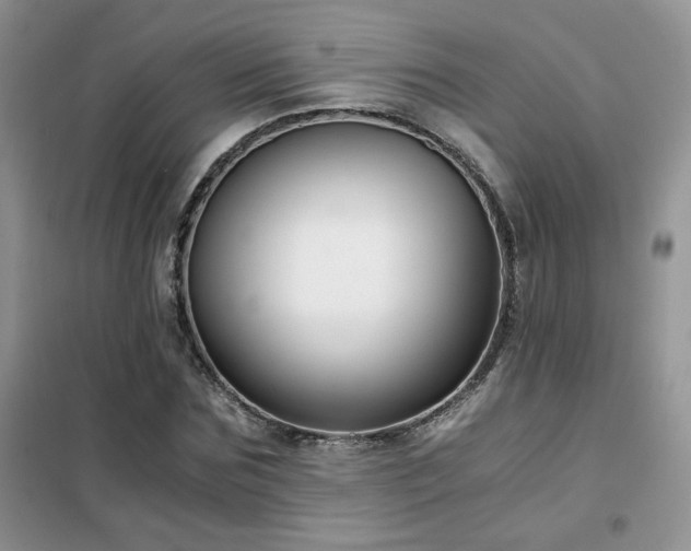 X0000102340875200808011138