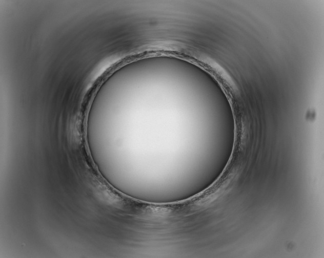 X0000102340878200808011138