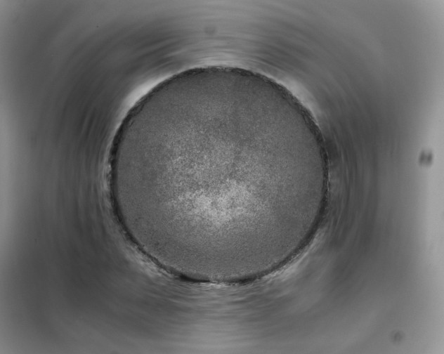 X0000102340879200808011138