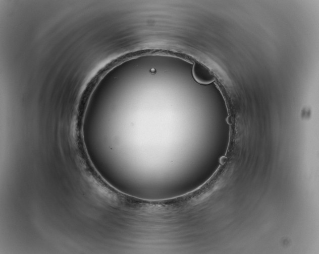 X0000102340880200808011138