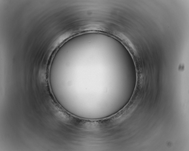 X0000102340882200808011138