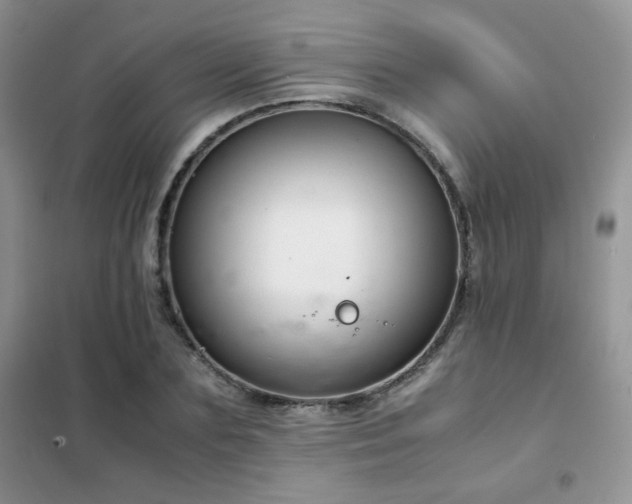 X0000102340883200808011138