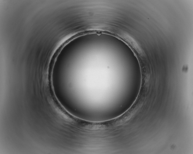 X0000102340884200808011138