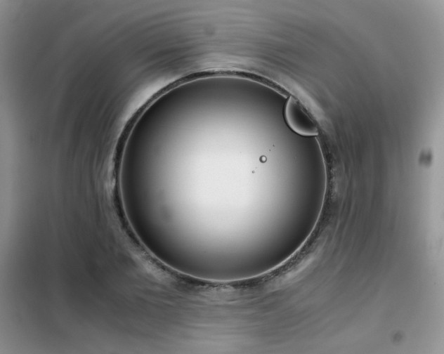 X0000102340885200808011138