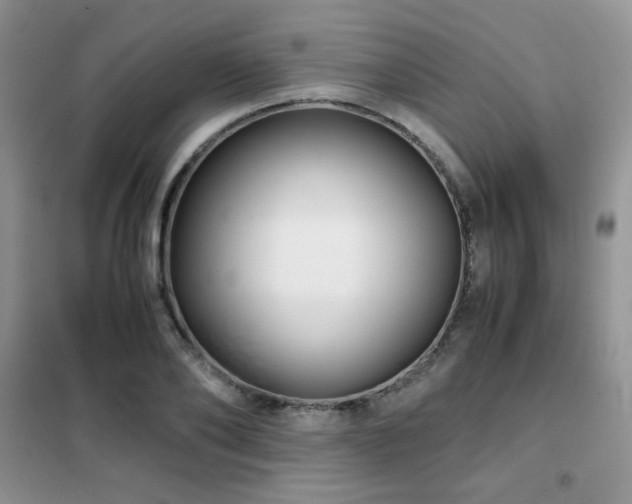 X0000102340886200808011138