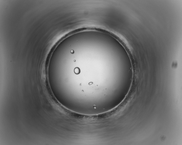 X0000102340887200808011138