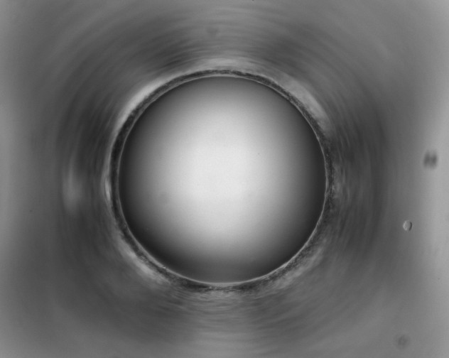 X0000102340888200808011138