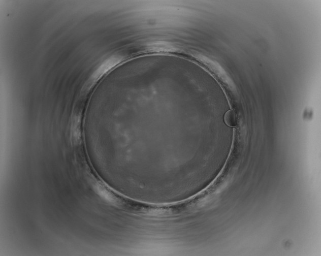 X0000102340889200808011138