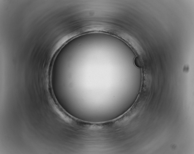 X0000102340890200808011138