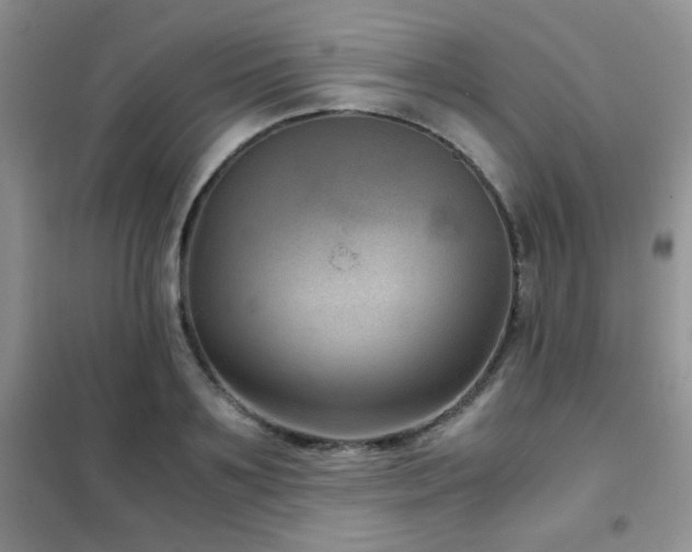 X0000102340891200808011138