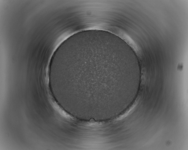 X0000102340892200808011138