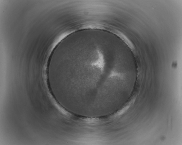 X0000102340893200808011138