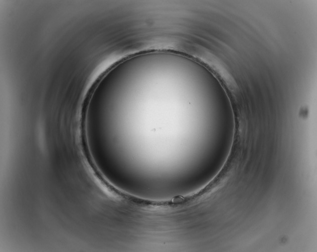 X0000102340894200808011138