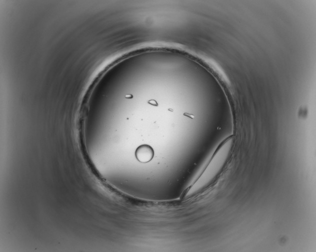 X0000102340895200808011138