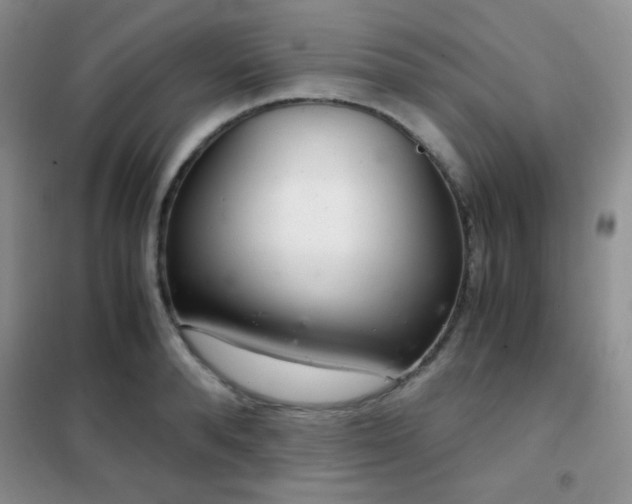 X0000102340896200808011138