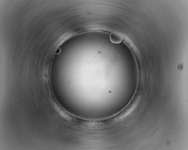 X0000102340897200808011138