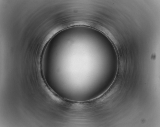 X0000102340898200808011138