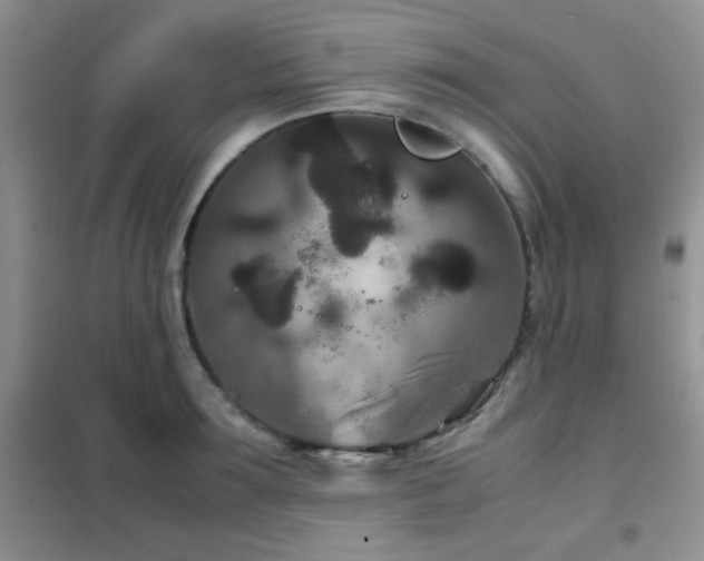 X0000102340899200808011138