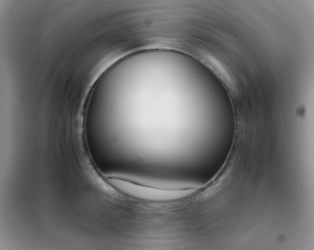 X0000102340900200808011138