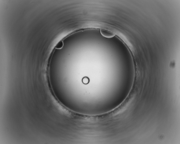 X0000102340901200808011138