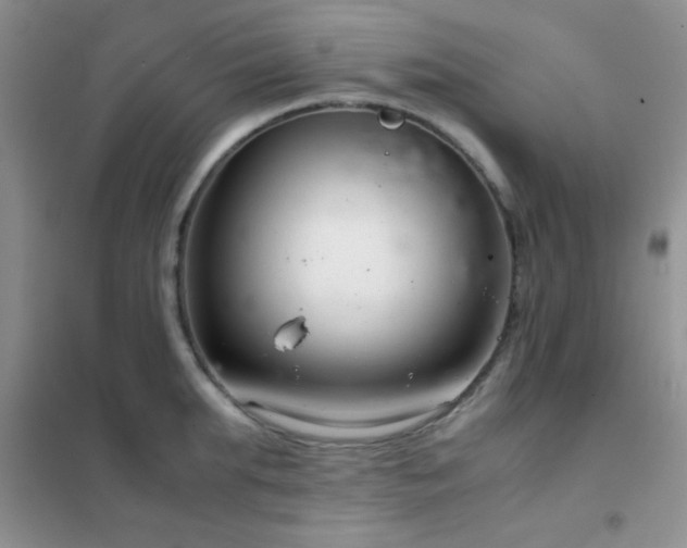 X0000102340903200808011138