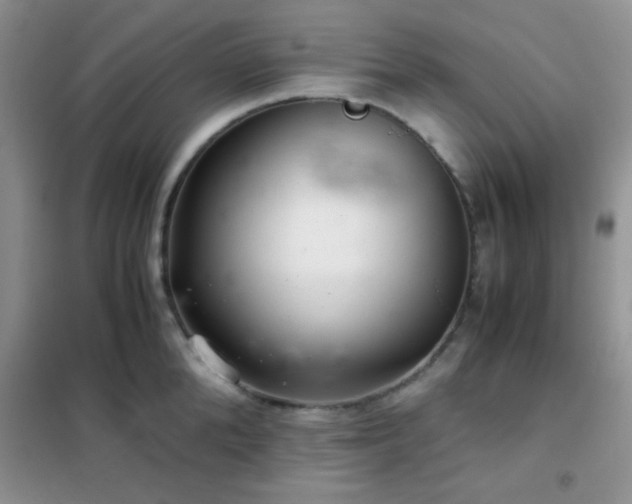 X0000102340904200808011138