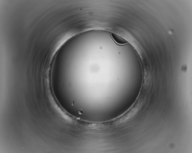 X0000102340906200808011138